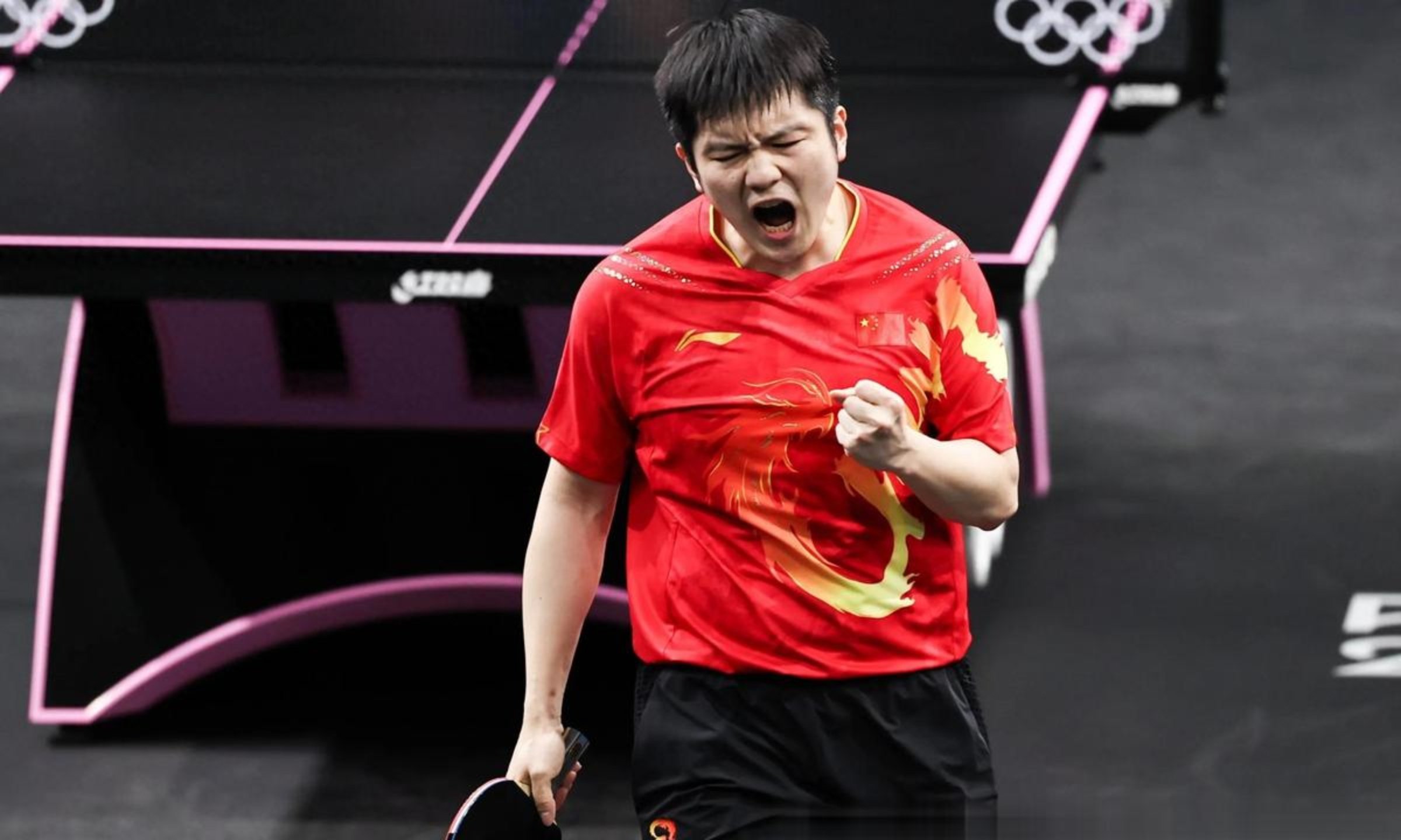 DB电竞分析入口-关于波兰乒乓球队绝地反击瑞典乒乓球队,樊振东制霸全场的信息