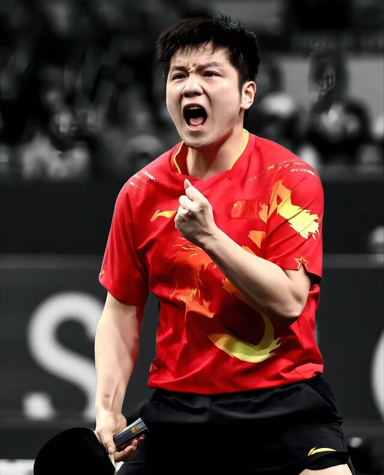 关于波兰乒乓球队绝地反击瑞典乒乓球队,樊振东制霸全场的信息 关于波兰乒乓球队绝地反击瑞典乒乓球队,樊振东制霸全场的信息